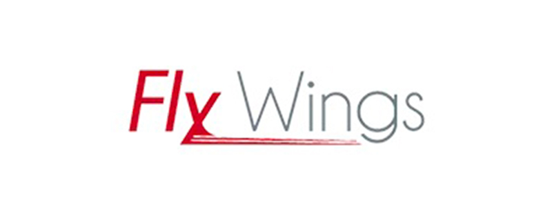 fly-wings