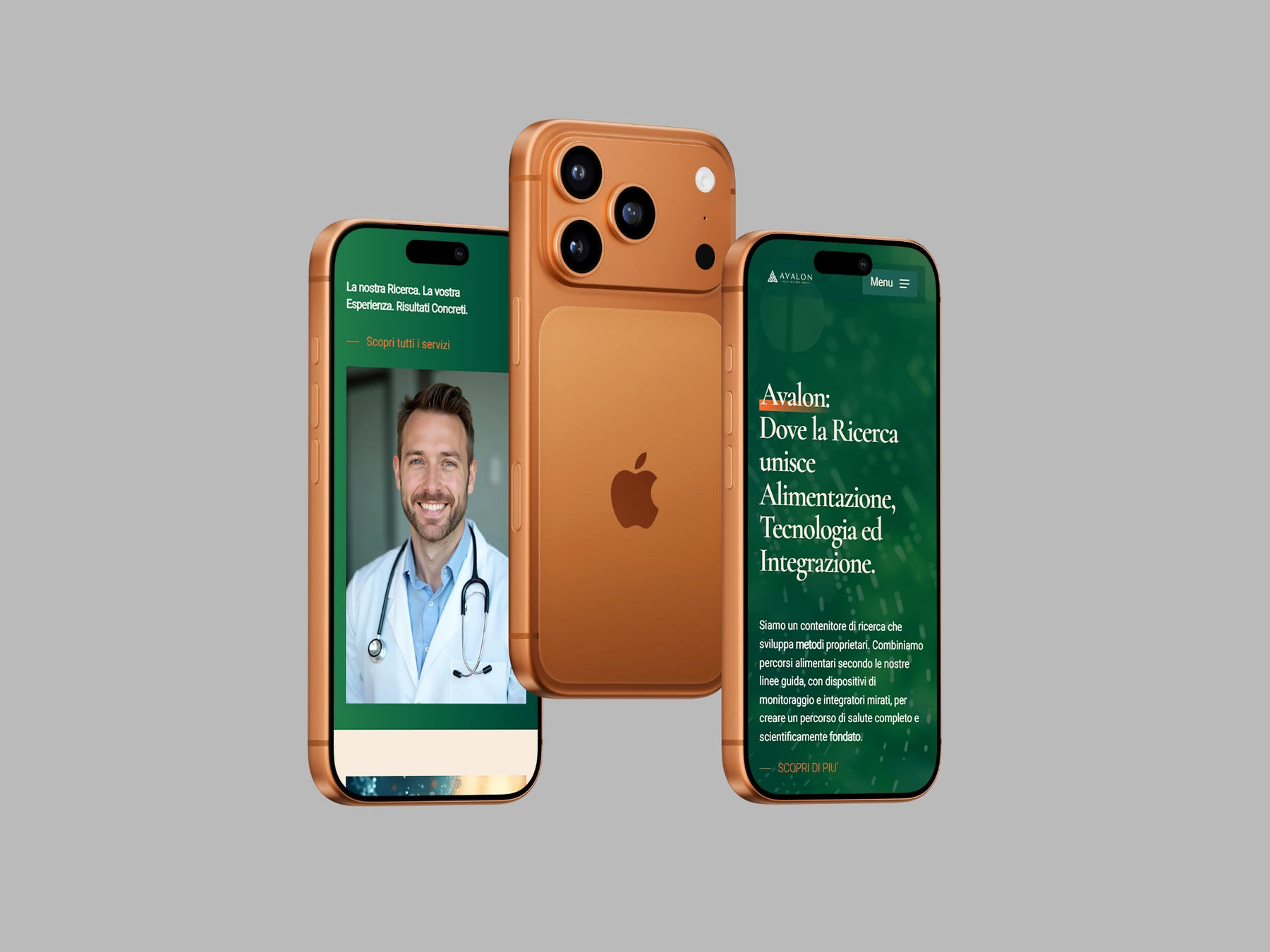 Avalon Solutions
